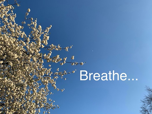 breathe – Copy