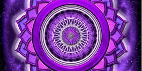 89781912_10156872566311720_888406378790518784_o