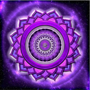 89781912_10156872566311720_888406378790518784_o